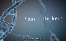 DNA Intro